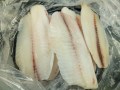 Tilapia fillet